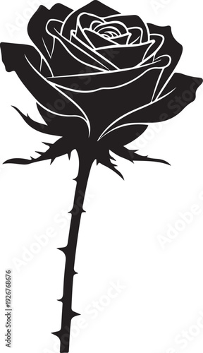Black rose silhouette with thorny stem on white background