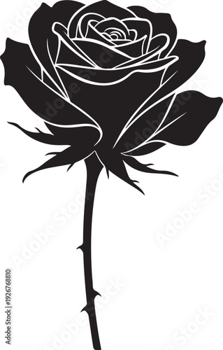 Black rose silhouette with thorny stem on white background