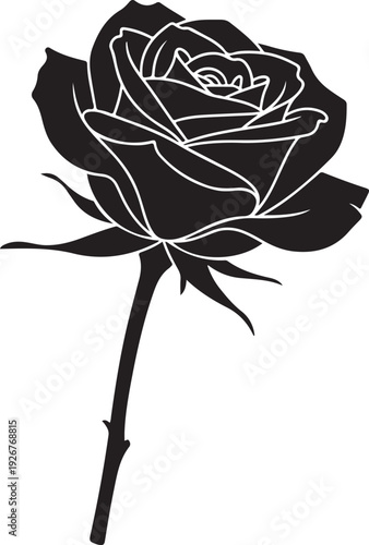 Black rose silhouette with thorny stem on white background