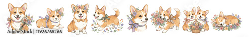 Cute watercolor Welsh Corgi puppy clipart with flowers, basket and bows, spring pet set. Collection of Vector illustrations. Perfect for invitation, card, poster, banner, decoration