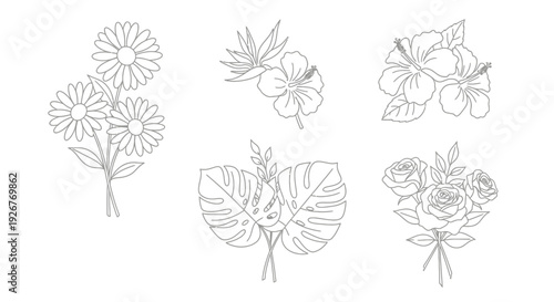 Collection of simple line drawings of various flowers and bouquets.
