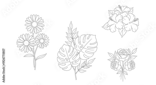 Set of simple line drawings of various flowers and leaves.