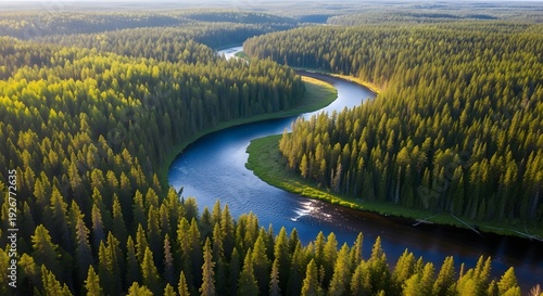 Aerial view of a serene river winding through a dense forest landscape with lush greenery and trees.