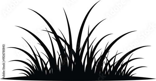 Black silhouette of grass blades on white background
