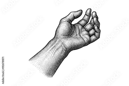 Detailed etching of a human hand in an open gesture