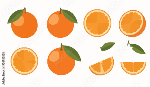 Fresh Orange Fruit Vector Set with Leaves and Citrus Flowers Isolated on White Background