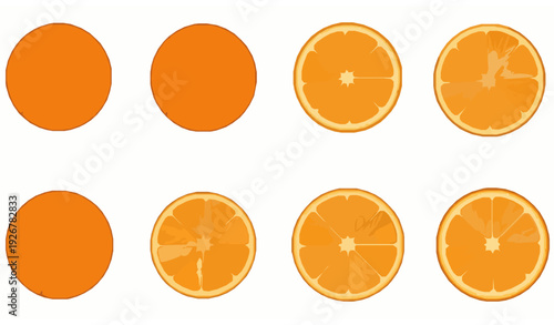 Hand Drawn Orange Citrus Fruit Vector Collection with Flowers and Leaves Isolated