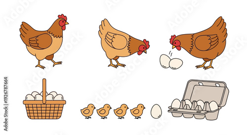 Farm Animal Illustration Set with Chickens, Chicks, and Eggs