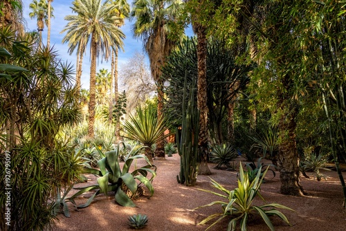Marrakech, Morocco - February 4, 2026: Vibrant Majorelle blue architecture and lush exotic gardens in Marrakech, Morocco. A stunning blend of Art Deco style and traditional Moorish design