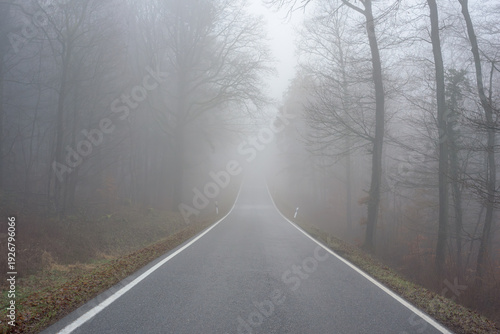 Misty rural road through dark forest with vanishing point