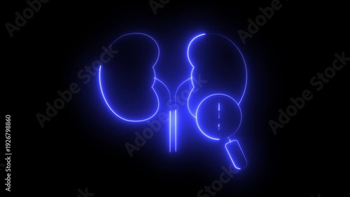 Neon Blue Human Kidneys – Medical and Healthcare  Service Internal Organs Biology Concept.