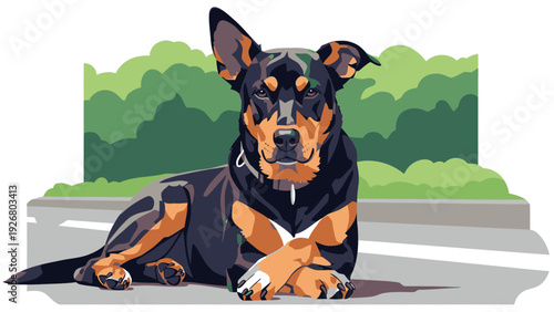 Australian Cattle Dog Vector Illustration, Stylized Portrait, Outdoor Park Background, Pet Lover Graphic Design Element