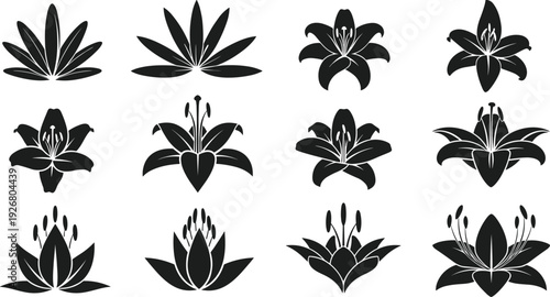 Black vector silhouette set of various lily flowers and lotus blossoms for garden nature floral pattern wedding invitation and organic beauty branding design