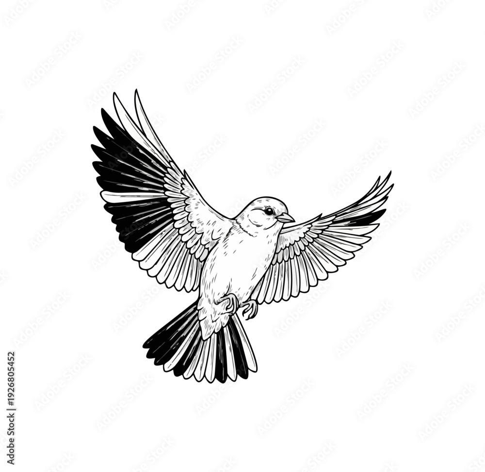 Obraz premium Sparrow in flight against black background illustrative graphic