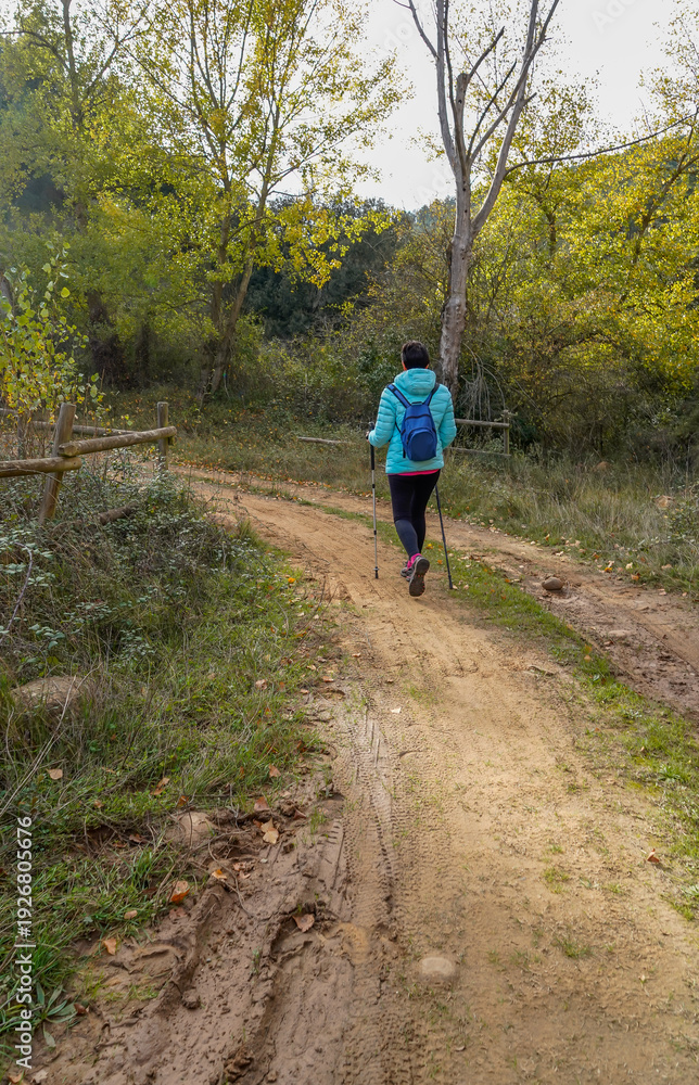 Obraz premium Woman walking along a lonely forest trail.