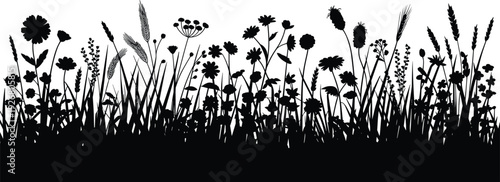 Black wildflower meadow silhouette with tall grass and blooming field plants, detailed botanical border illustration isolated on white background for nature design