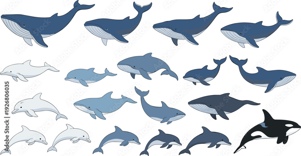 Obraz premium Whale and Dolphin Marine Mammal Icon Set Featuring Ocean Animals in Multiple Poses for Wildlife Education, Sea Life Infographics, and Vector Design