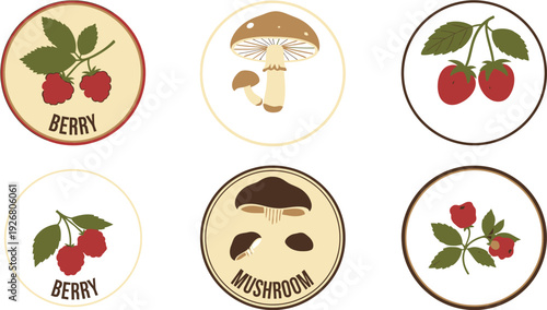 Vector graphic illustration collection of wild berries and edible mushrooms