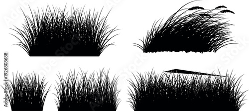 Black grass silhouette set with field meadow lawn greenery and wild wheat stalks for nature border landscape design and vector.