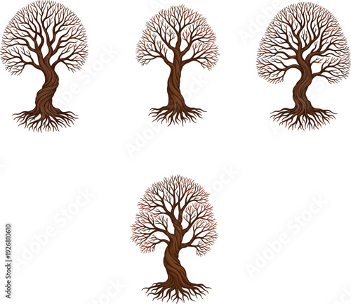 Collection Of Four Bare Winter Tree Vectors Featuring Intricate Branching Structures Winding Brown Trunks And Detailed Root Systems