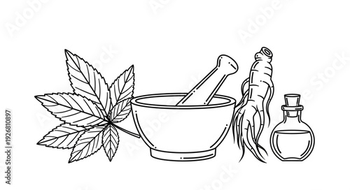 Traditional herbal medicine illustration featuring leaves, mortar, pestle, ginseng, and bottle.