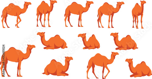 Islamic lantern in mosque architecture.