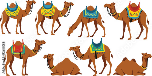 Islamic lantern in mosque architecture.