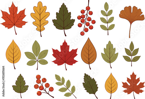 Autumn leaves collection with maple, oak and berry branches in fall colors isolated on light background, hand drawn vector illustration set