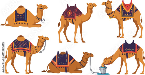 Islamic lantern in mosque architecture.