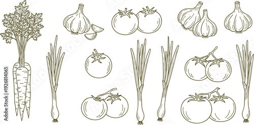 Hand drawn vegetables collection featuring carrots tomatoes garlic and green onions organic farm food vector illustration set