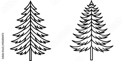 Two Black and White Coniferous Tree Illustrations Side by Side Silhouette