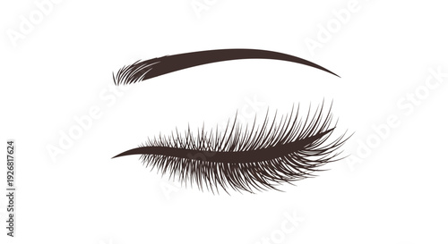 False Eyelash Makeup Beauty.