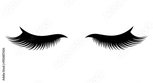 False Lash Eyelashes.