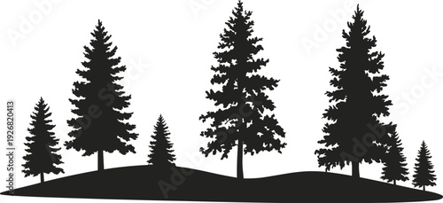 Pine forest tree silhouette landscape isolated on white background, evergreen woodland illustration, natural countryside scene for nature themes, ecology concepts, outdoor design, 