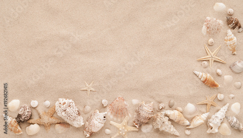 Sticker Exotic collections of white and beige seashells and starfish on sand background for aesthetic summer card