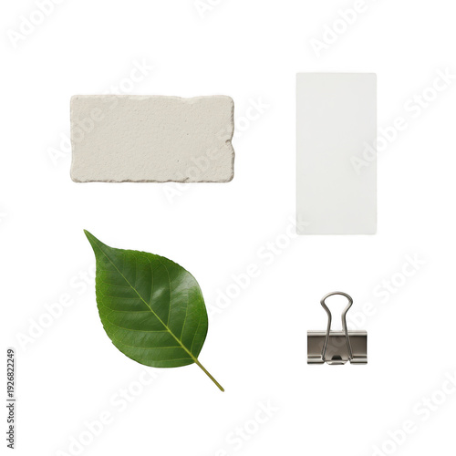 Wallpaper Mural A collection of office supplies and a leaf arranged neatly on a white background Torontodigital.ca