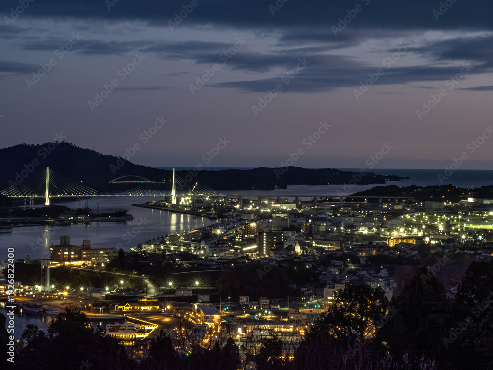 Fototapeta premium 気仙沼の夜景
