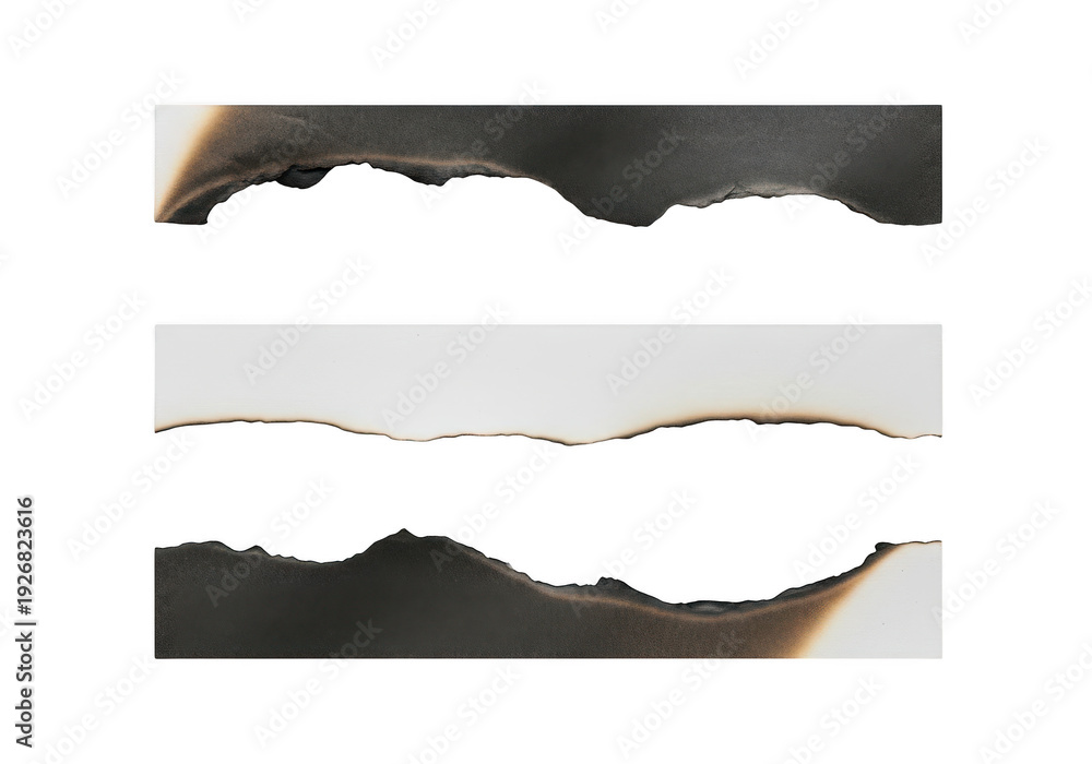 custom made wallpaper toronto digitalA graphic design element with torn paper effect and white background.