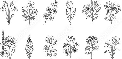 Hand drawn flower illustration collection featuring botanical line art of various blooming garden flowers isolated on white background for decorative design