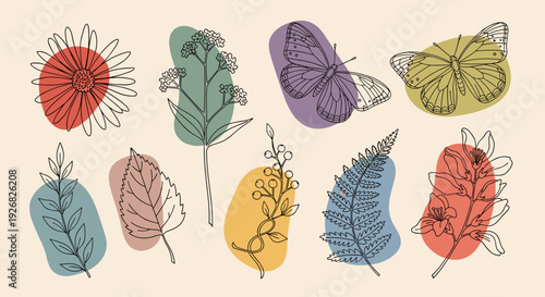 A collection of hand-drawn flowers, leaves, and butterflies in colorful minimalist vector style, perfect for nature-themed design projects