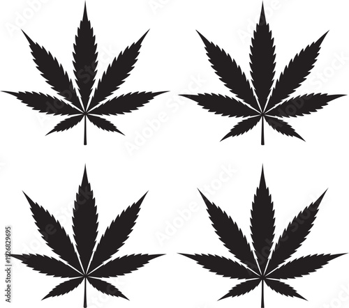 Cannabis leaf vector set. Includes four black silhouette marijuana leaves with serrated edges and distinct veins. Created in a flat, minimalist style with a black and white palette.