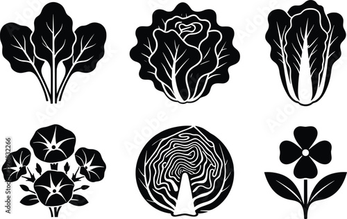 Black vector silhouette icon set featuring various leafy green vegetables like cabbage and lettuce along with decorative floral symbols for garden and organic food designs