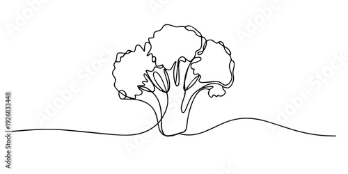 broccoli vegetables continuous one line drawing, One line drawing of a fresh broccoli floret, minimalist continuous line art for healthy eating and vegetarian food concepts, isolated. Vector