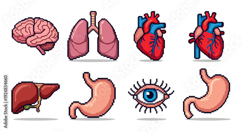A collection of pixel art illustrations featuring human anatomy, including a brain, lungs, hearts, liver, stomach, and eye in colorful vector style, suitable for educational and medical purposes