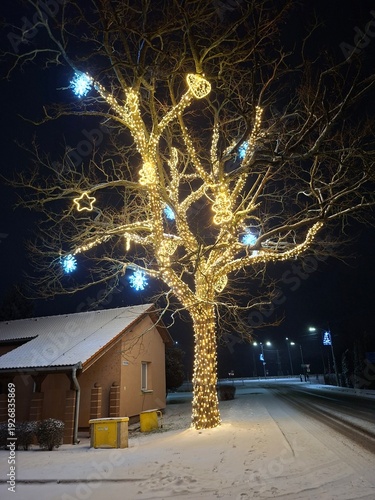 christmas tree at night