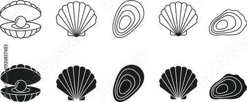 Seashells and oysters, bivalve pearls. An oyster with a pearl and a scallop shell. 