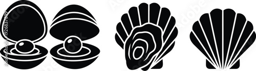 Seashells and oysters, bivalve pearls. An oyster with a pearl and a scallop shell. 