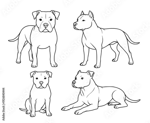 Dog icons, 4 vector illustrations of american pitbull terrier, with outline design style