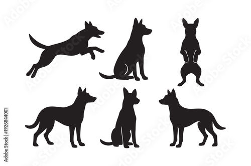 Silhouettes of various dog breeds in different poses and orientations