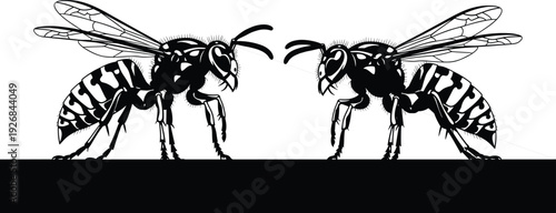 Detailed black and white vector silhouette of two wasps or hornets facing each other for pest control nature wildlife and insect biology branding